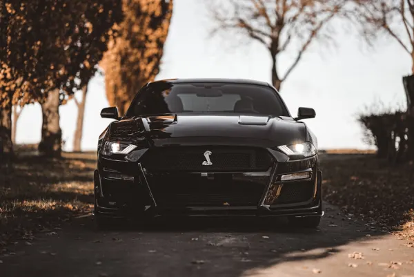 OG Kasino Apl Android/iOS